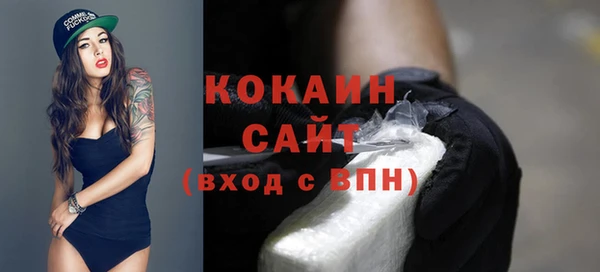 сатива Арсеньев