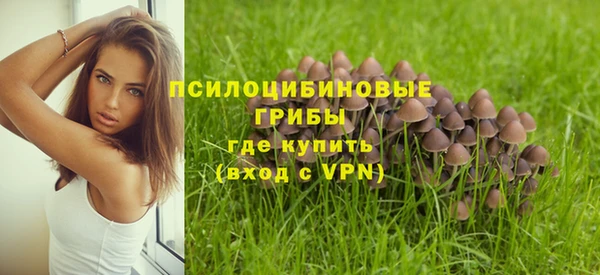 соль курить ск Аркадак
