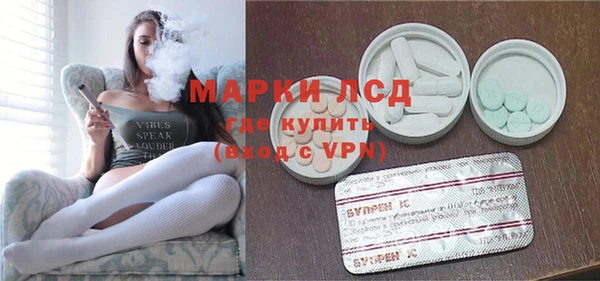 сатива Арсеньев